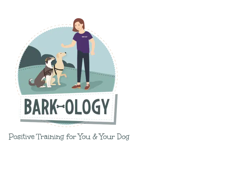 Bark-ology