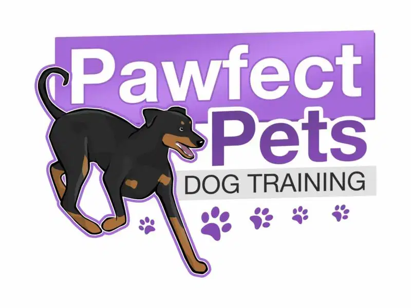 Pawfect Pets Dog Training