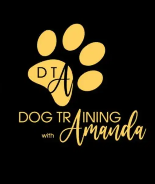 Dog Training with Amanda