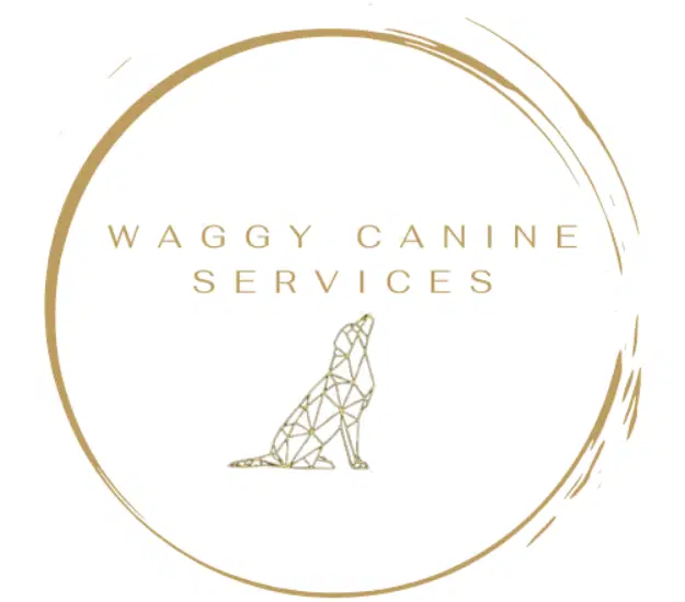 Waggy Canine Services