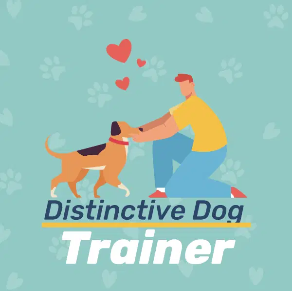 Distinctive Dog Trainer Course, Group Coaching & Assessment - (Single Payment)