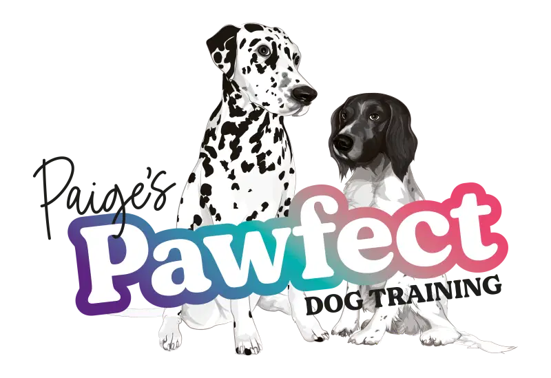 Paige's Pawfect Dog Training