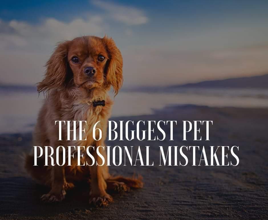 The 6 biggest pet professional mistakes
