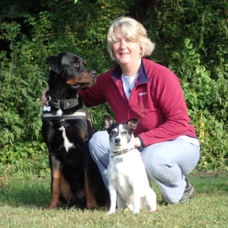 Hunts best sale happy hounds