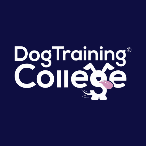 The Dog Training College