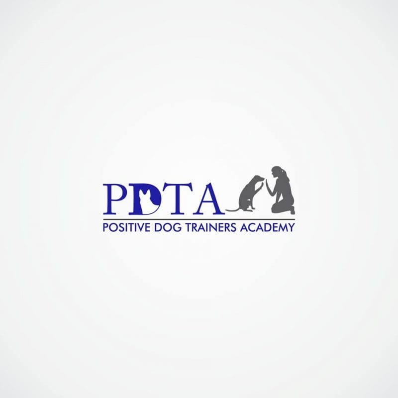 Positive Dog Training Academy