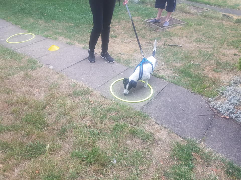 Lesson 1 – Cone work as an outlet