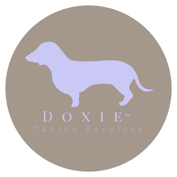 Doxie Canine Services