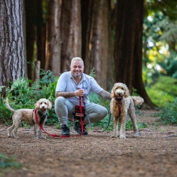 Nathan's Paw Trails & Training