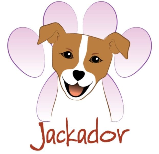 Jackador Dog Training and Behaviour