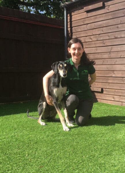 Root Behaviour and Pet Services