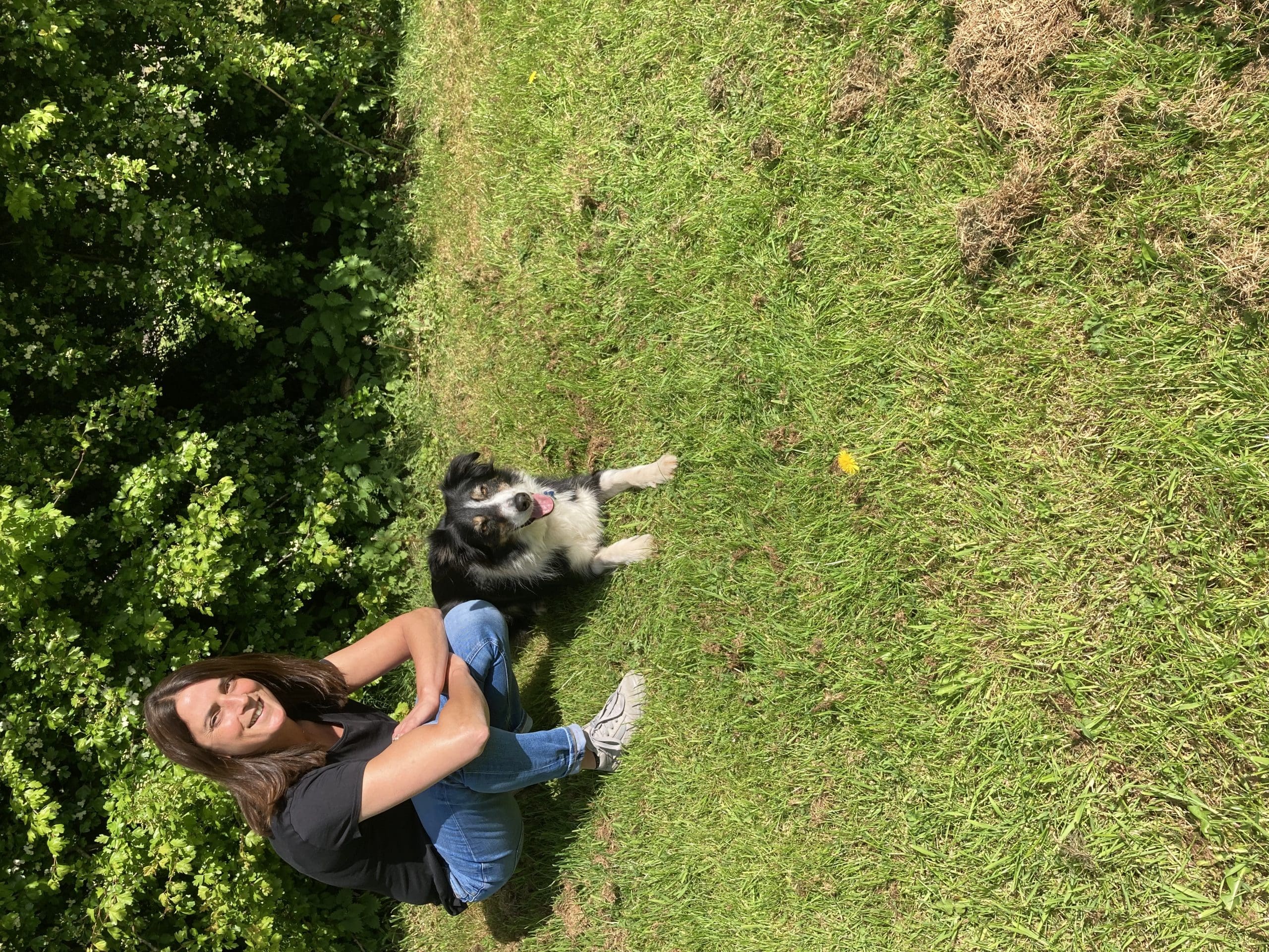 pet-trainer-illustration-06@2x