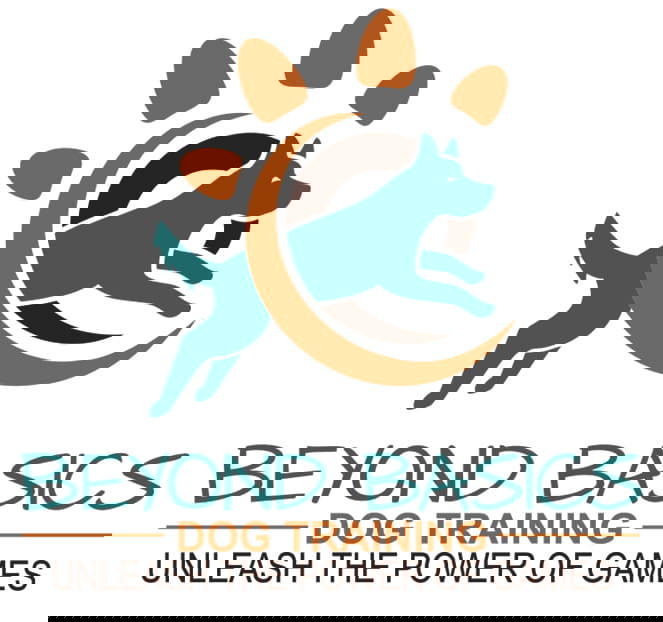 Beyond Basics Dog Training