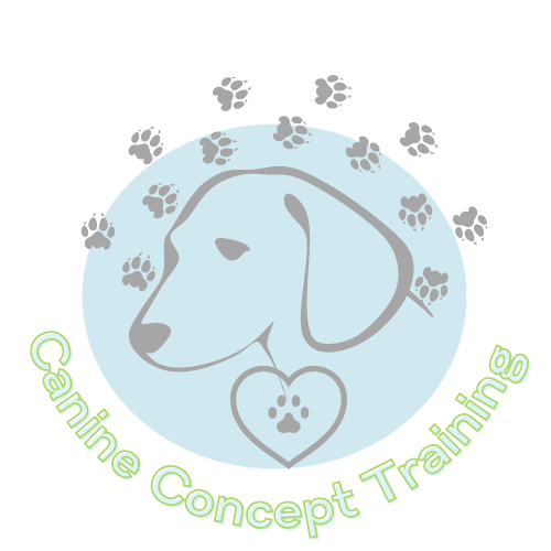 Canine Concept  Walks & Training
