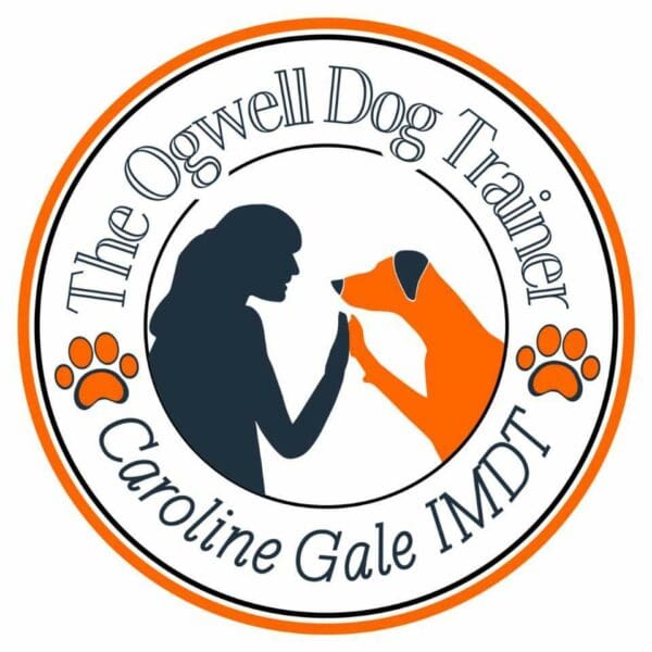 The Ogwell Dog Trainer