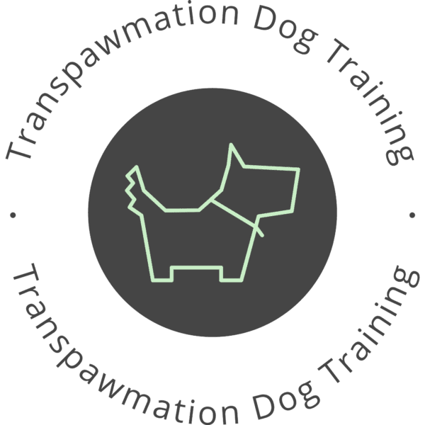 Transpawmation Dog Training