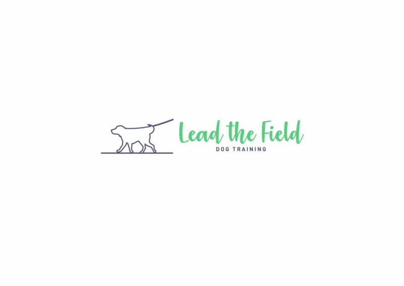 Lead The Field Dog Training