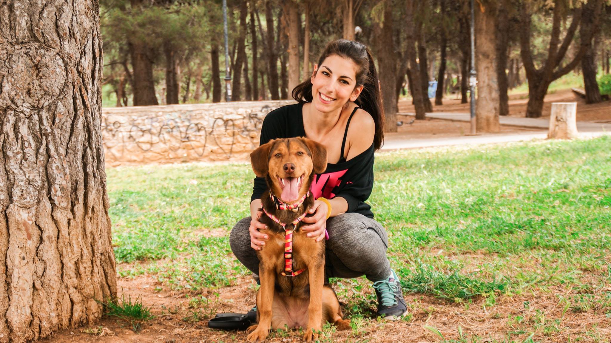 pet-trainer-illustration-06@2x