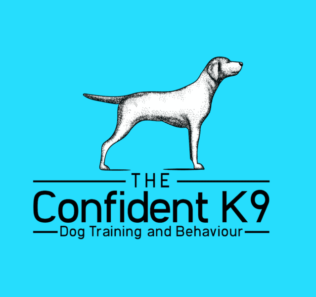 The Confident K9