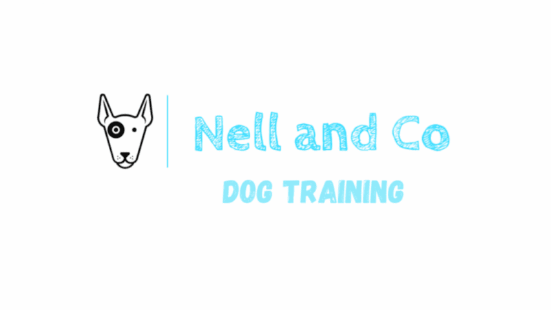Nell and Co Dog Training