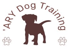 ARY Dog Training