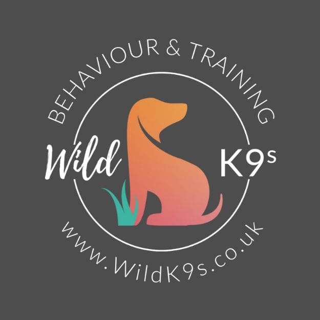 pet-trainer-illustration-06@2x