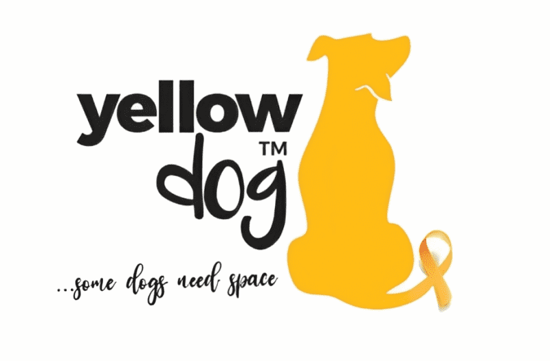 Yellow Dog UK