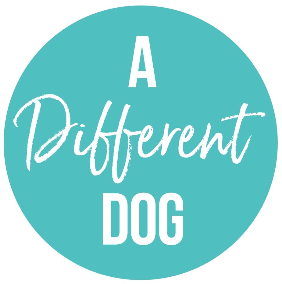 pet-trainer-illustration-06@2x