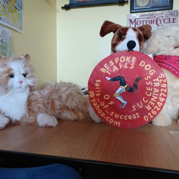 Tails of Success bespoke dog trainer