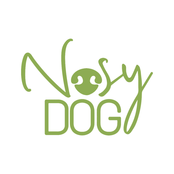Nosy Dog Training