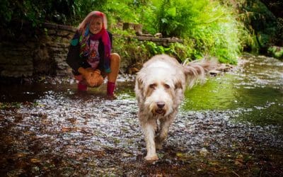 Introduction to social walks, meet ups and events