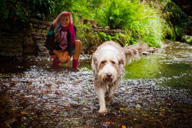 Introduction to social walks, meet ups and events