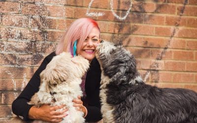 Structuring sessions