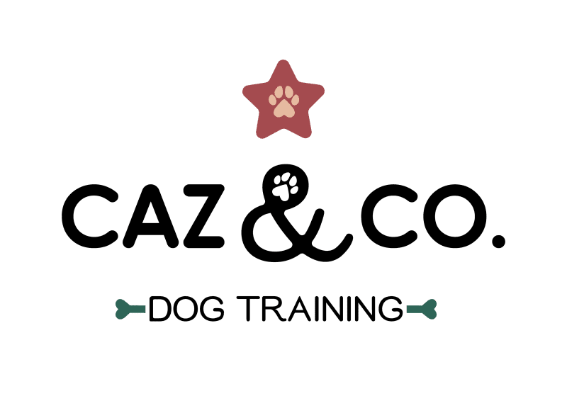 Caz and Co. Dog Training