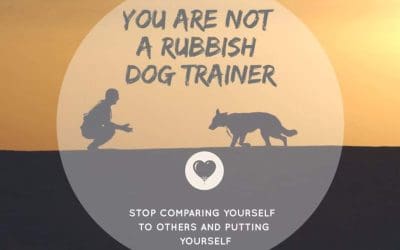 Themes and structure