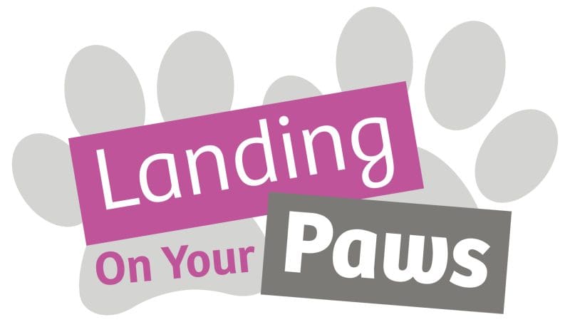 Landing On Your Paws