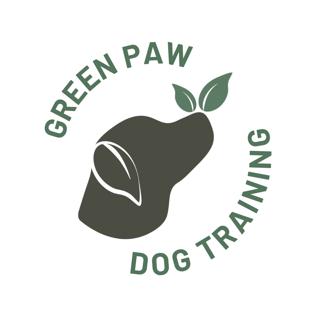 pet-trainer-illustration-06@2x