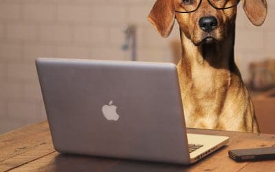 Finding your ideal client