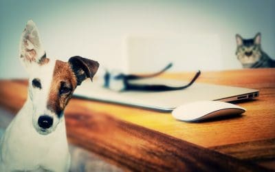 How to create engaging content