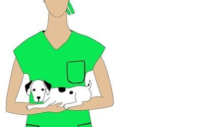 Collaborating with vets