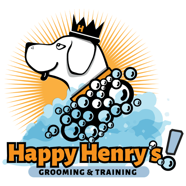 pet-trainer-illustration-06@2x