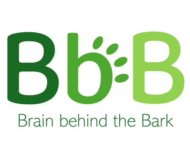 Brain behind the Bark