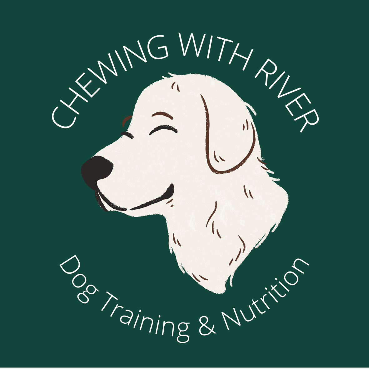 pet-trainer-illustration-06@2x