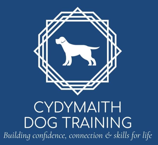 Cydymaith Dog Training