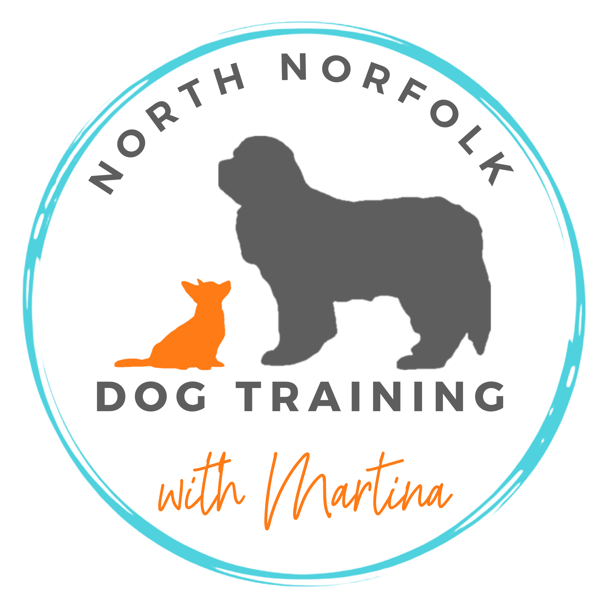 pet-trainer-illustration-06@2x