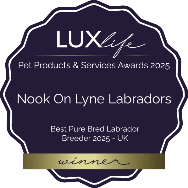 Nook on Lyne Labradors