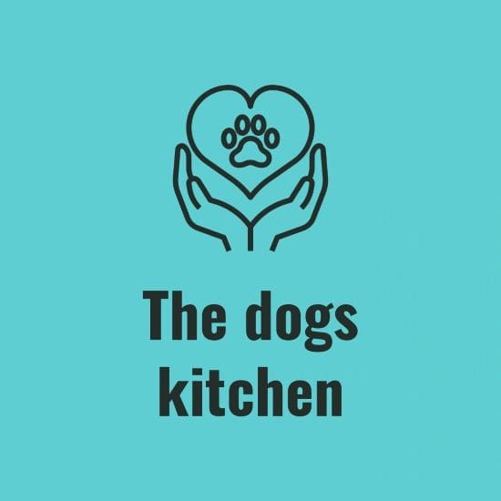 pet-trainer-illustration-06@2x