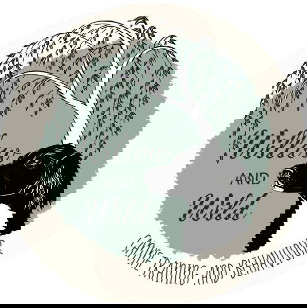 Willow & Wild - Canine Training and Behaviour