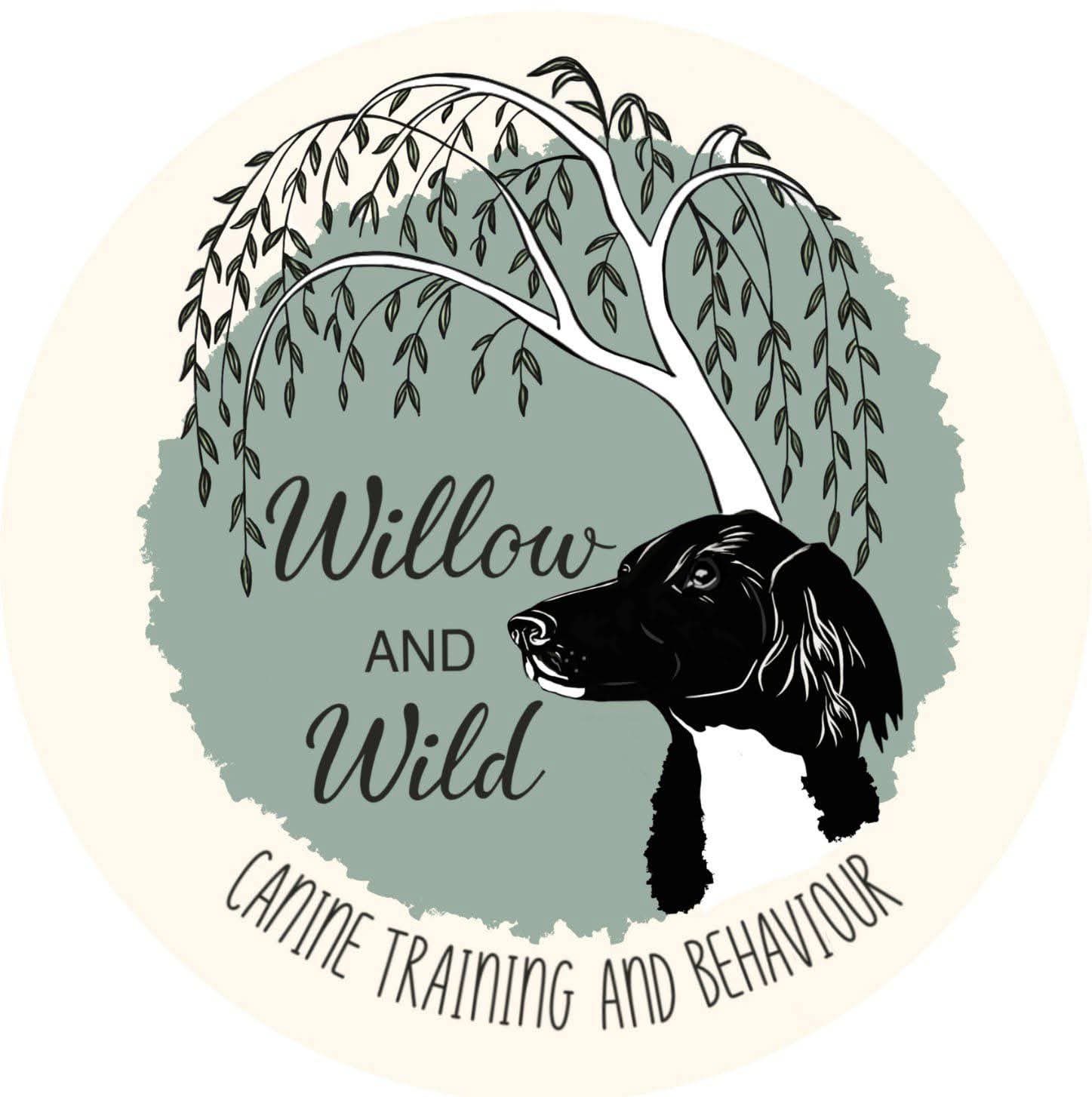 pet-trainer-illustration-06@2x